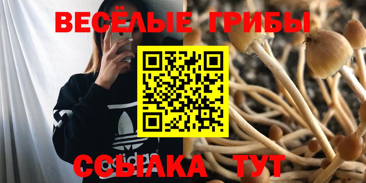 Псилоцибиновые грибы GOLDEN TEACHER Советск